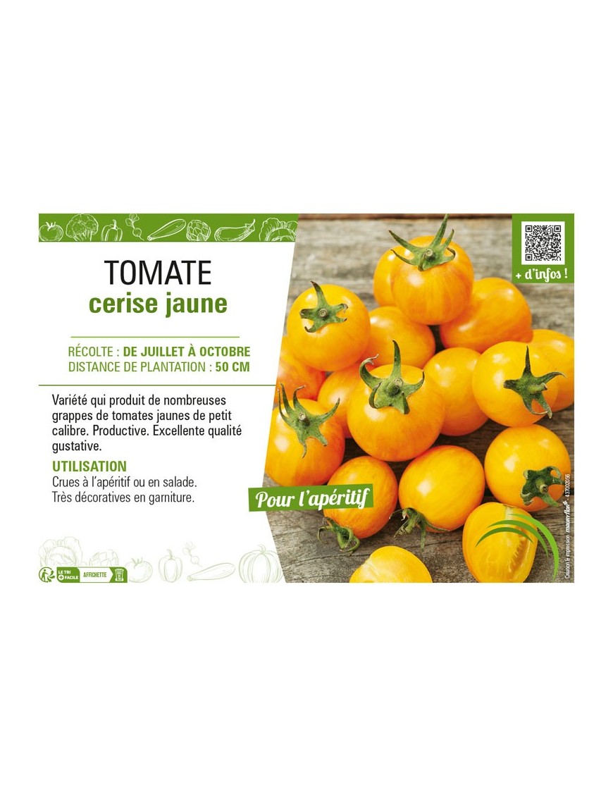 TOMATE CERISE JAUNE