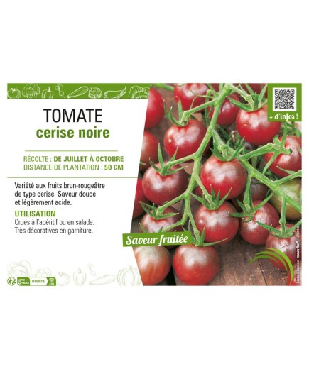 TOMATE CERISE NOIRE