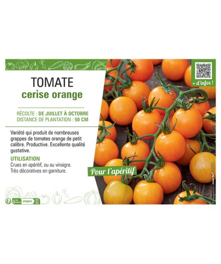 TOMATE CERISE ORANGE