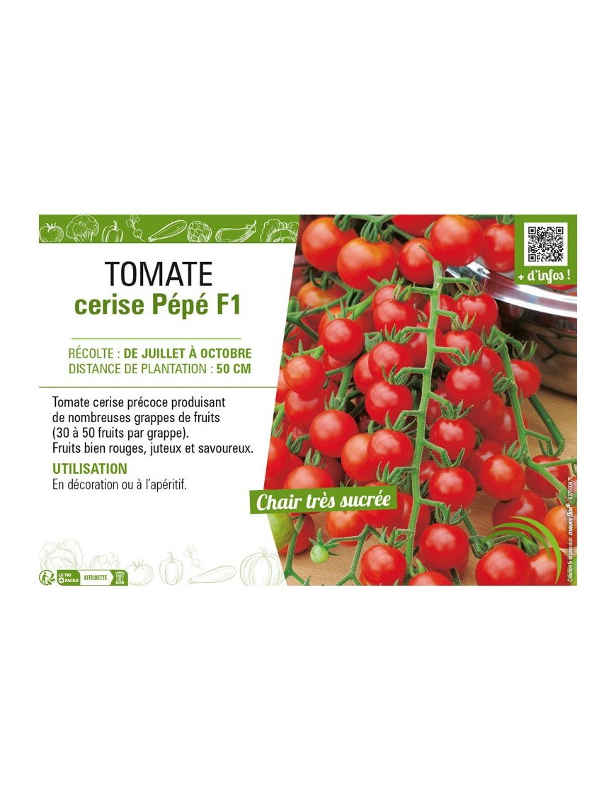 TOMATE CERISE PEPE F1