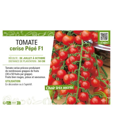 TOMATE CERISE PEPE F1