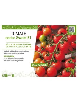 TOMATE CERISE SWEET F1