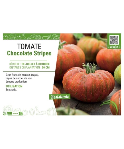 TOMATE CHOCOLATE Stripes