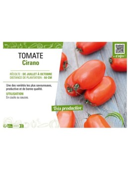 TOMATE CIRANO