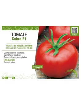 TOMATE COBRA F1
