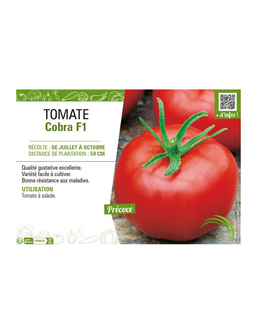 TOMATE COBRA F1