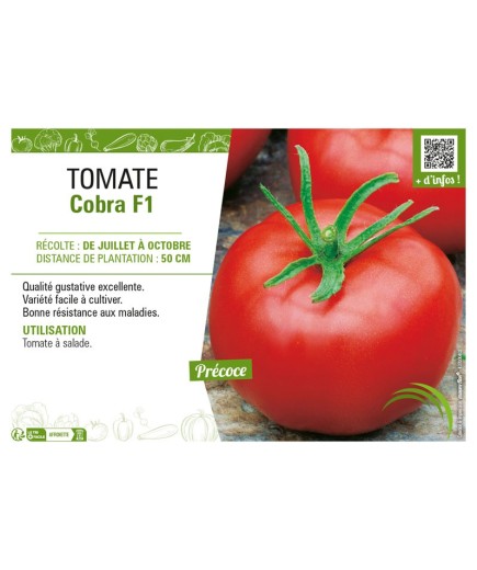 TOMATE COBRA F1