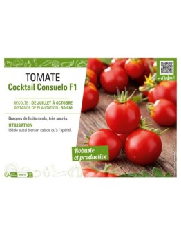 TOMATE COCKTAIL CONSUELO F1