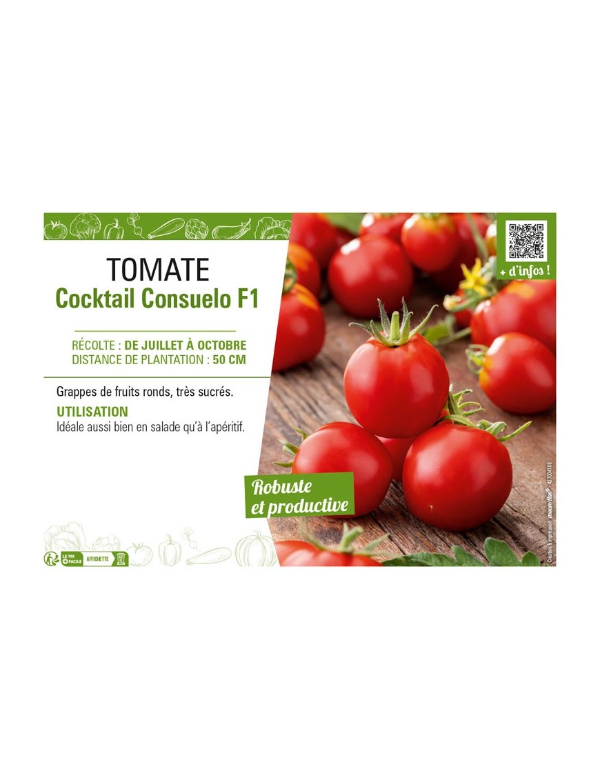 TOMATE COCKTAIL CONSUELO F1