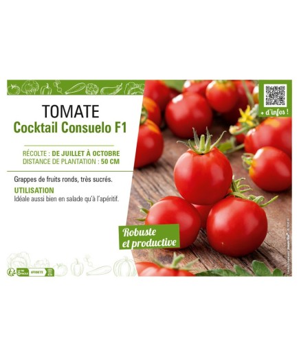 TOMATE COCKTAIL CONSUELO F1
