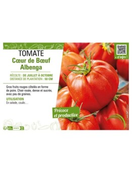 TOMATE CŒUR DE BŒUF ALBENGA