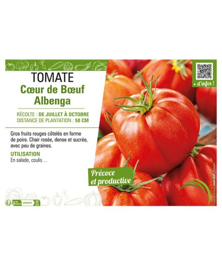 TOMATE CŒUR DE BŒUF ALBENGA
