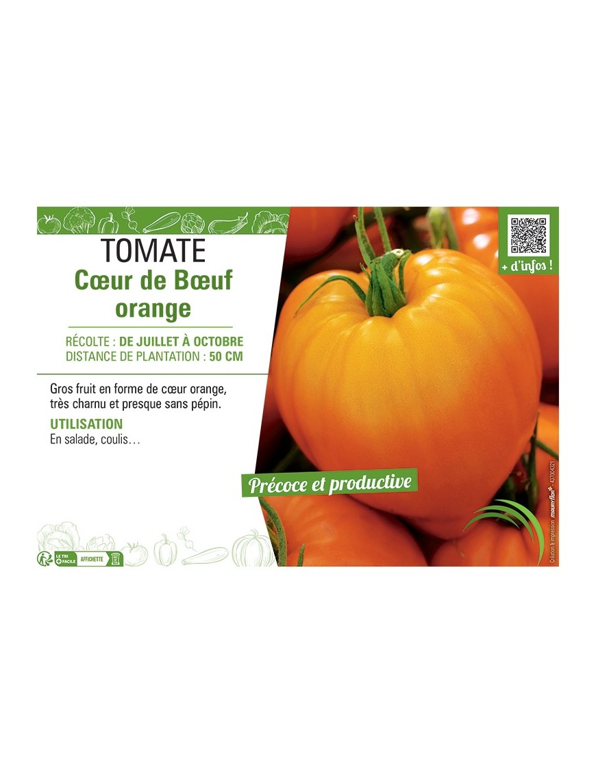 TOMATE CŒUR DE BŒUF ORANGE