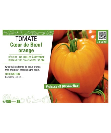 TOMATE CŒUR DE BŒUF ORANGE