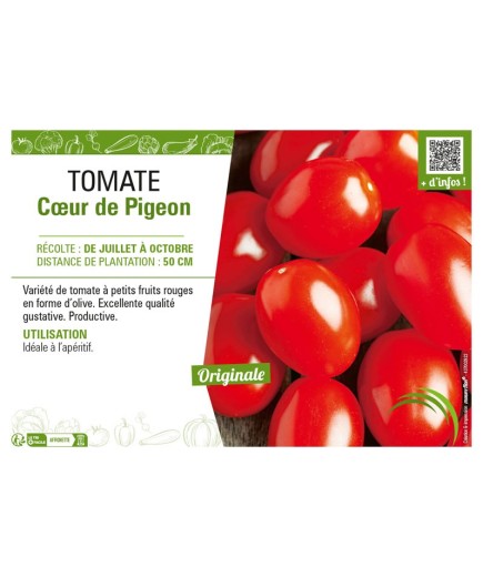 TOMATE CŒUR DE PIGEON
