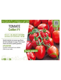 TOMATE COLIBRI F1