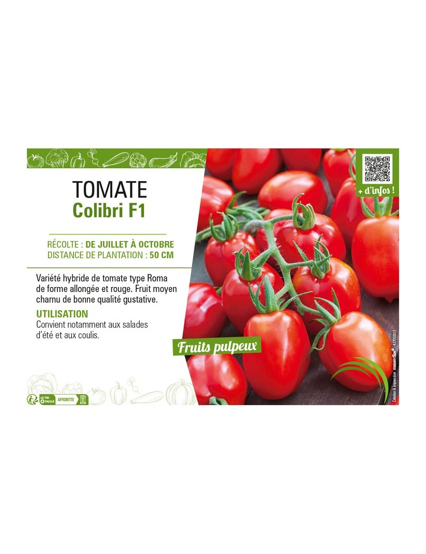 TOMATE COLIBRI F1