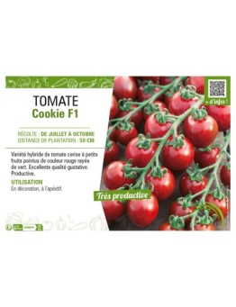 TOMATE COOKIE F1
