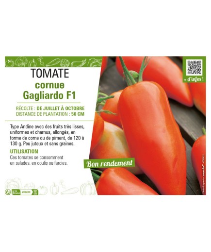 TOMATE CORNUE GAGLIARDO F1