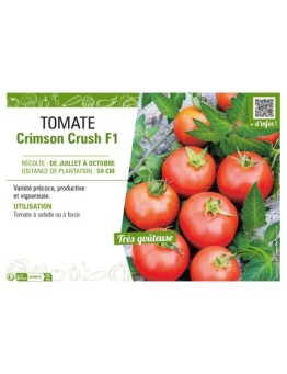 TOMATE CRIMSON CRUSH F1
