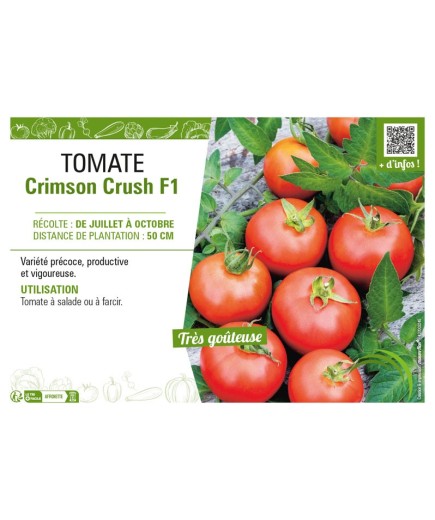 TOMATE CRIMSON CRUSH F1