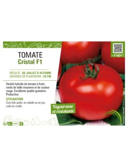 TOMATE CRISTAL F1