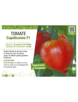 TOMATE CUPIDISSIMO F1