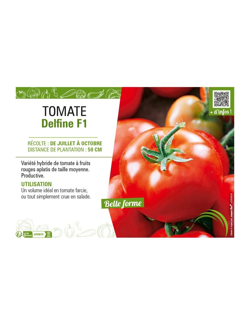 TOMATE DELFINE F1