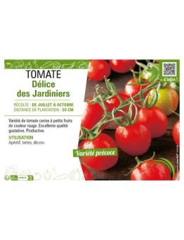 TOMATE DÉLICES DES JARDINIERS