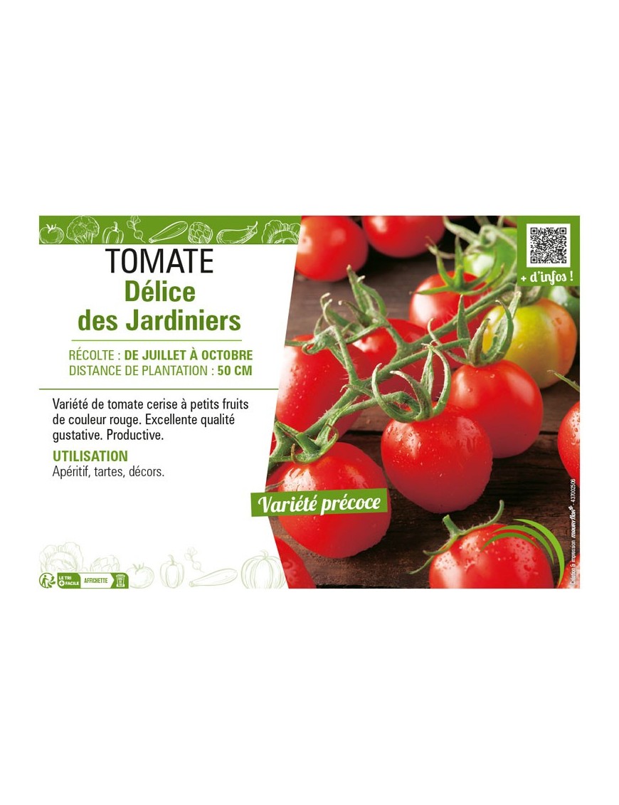 TOMATE DÉLICES DES JARDINIERS