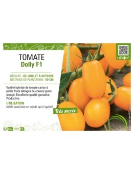 TOMATE DOLLY F1