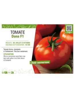 TOMATE DONA F1
