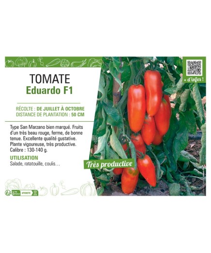 TOMATE EDUARDO F1