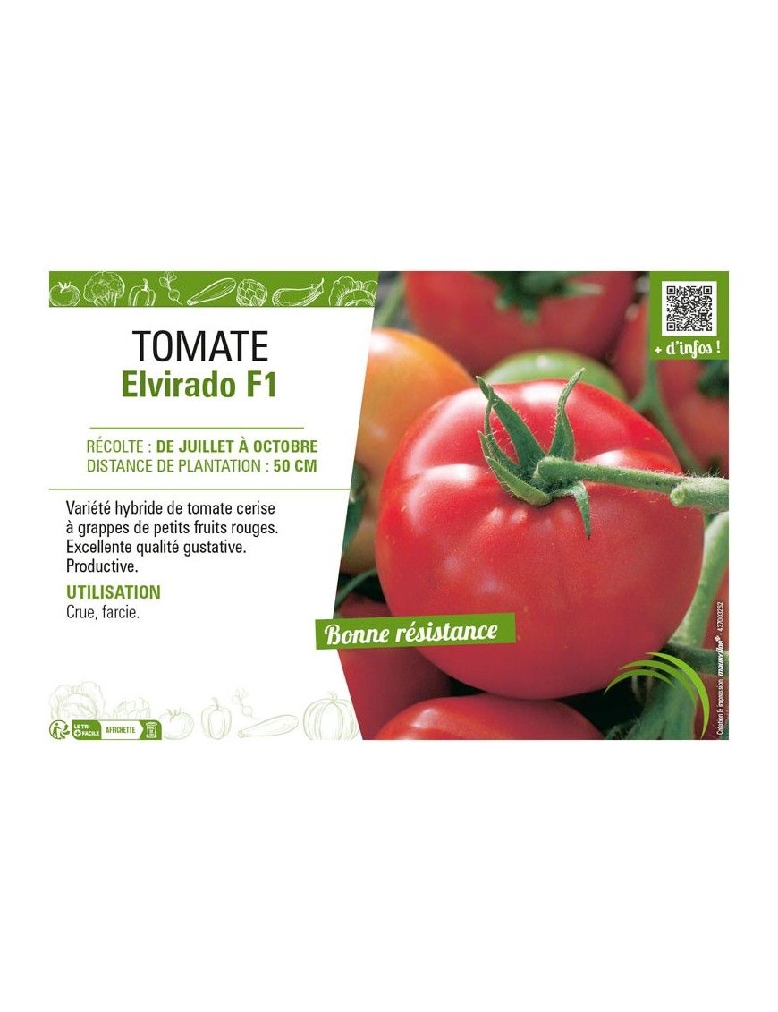 TOMATE ELVIRADO F1