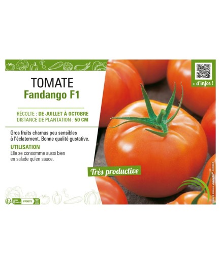 TOMATE FANDANGO F1