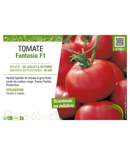 TOMATE FANTASIO F1