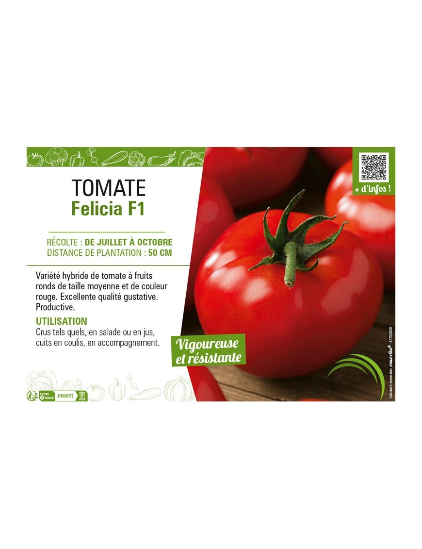 TOMATE FELICIA F1
