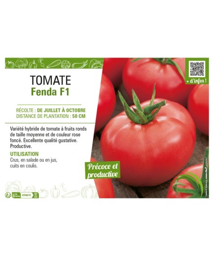 TOMATE FENDA F1