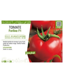 TOMATE FERLINE F1