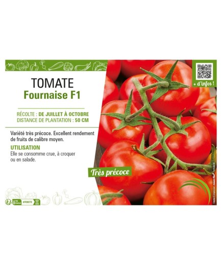 TOMATE FOURNAISE F1