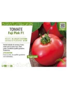 TOMATE FUJI PINK F1