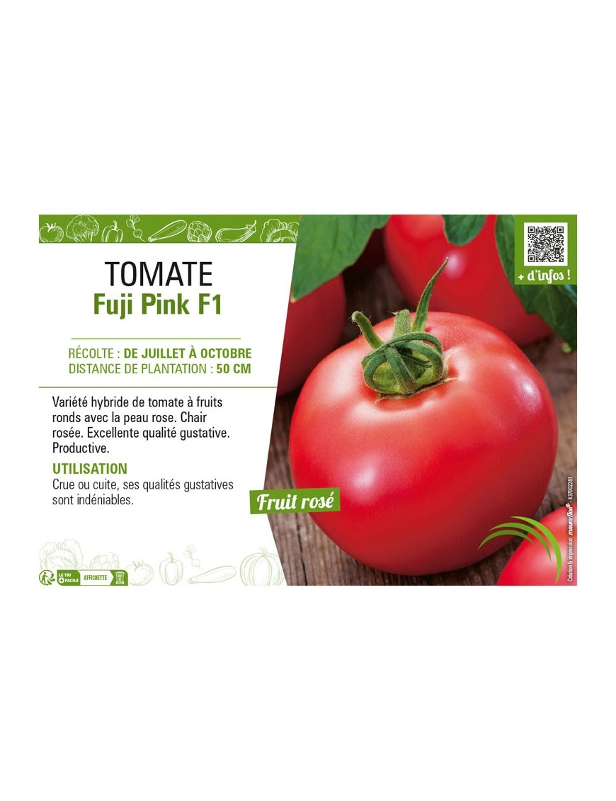 TOMATE FUJI PINK F1