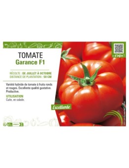 TOMATE GARANCE F1