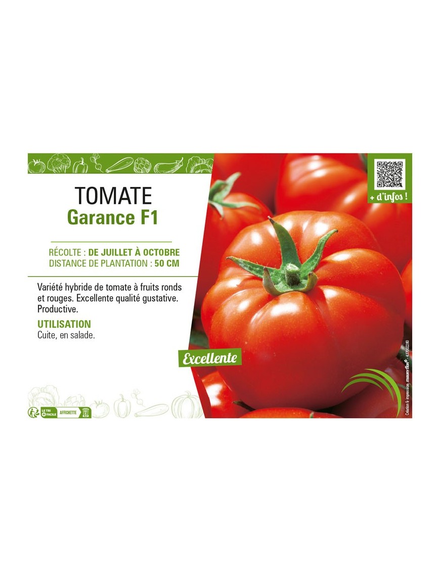 TOMATE GARANCE F1