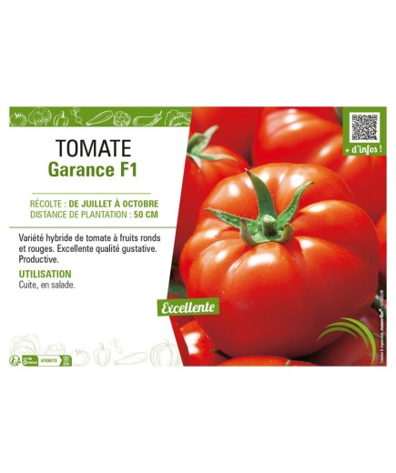 TOMATE GARANCE F1