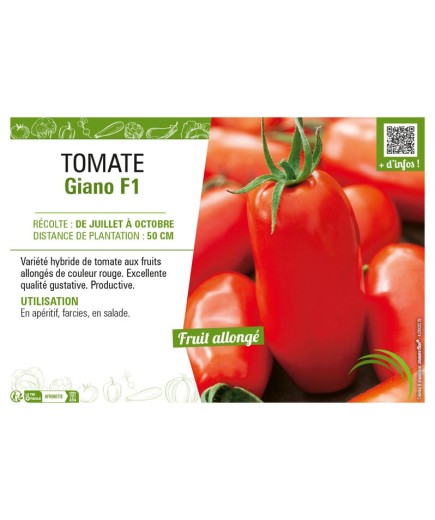 TOMATE GIANO F1