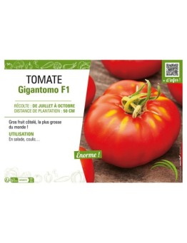 TOMATE GIGANTOMO F1