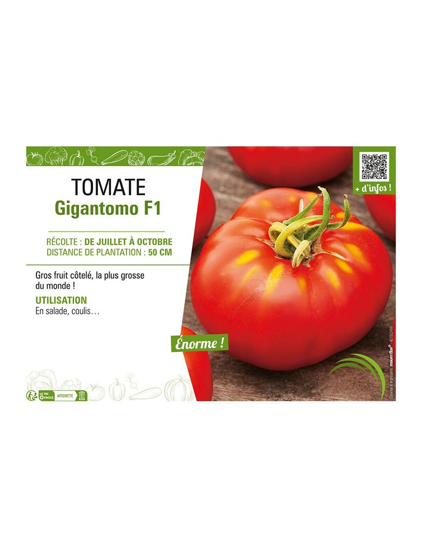 TOMATE GIGANTOMO F1