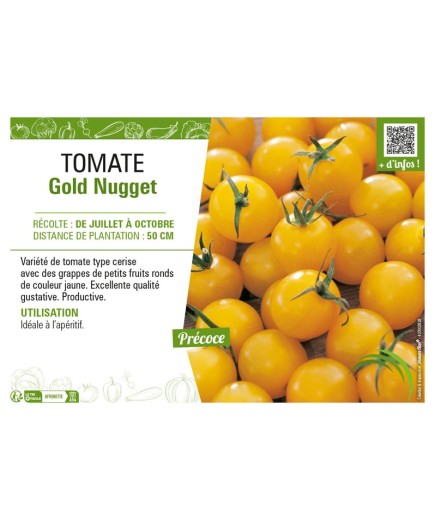 TOMATE GOLD NUGGET