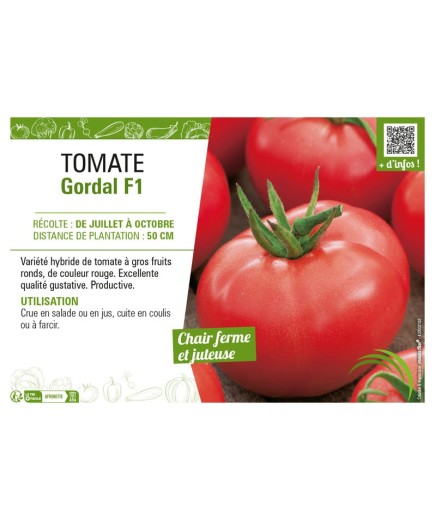 TOMATE GORDAL F1